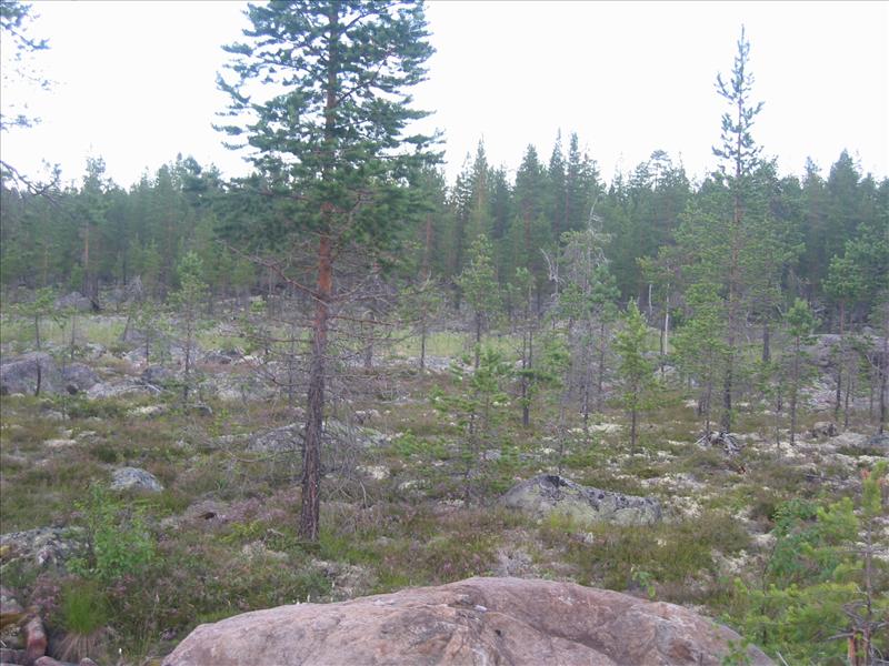 Sweden 2006-04 153